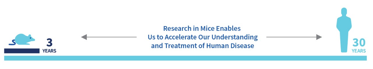 Coc-website-study-timeline