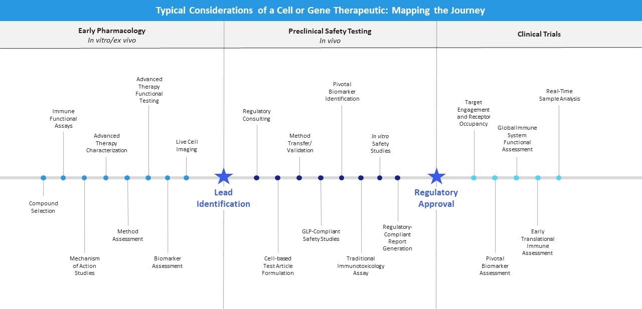 Typical Considerations of a Cell or Gene Therapeutic: Mapping the journey. Early pharmacology (in vivo/ex vivo), Preclinical Safety Testing (in vivo), Clinical Trials