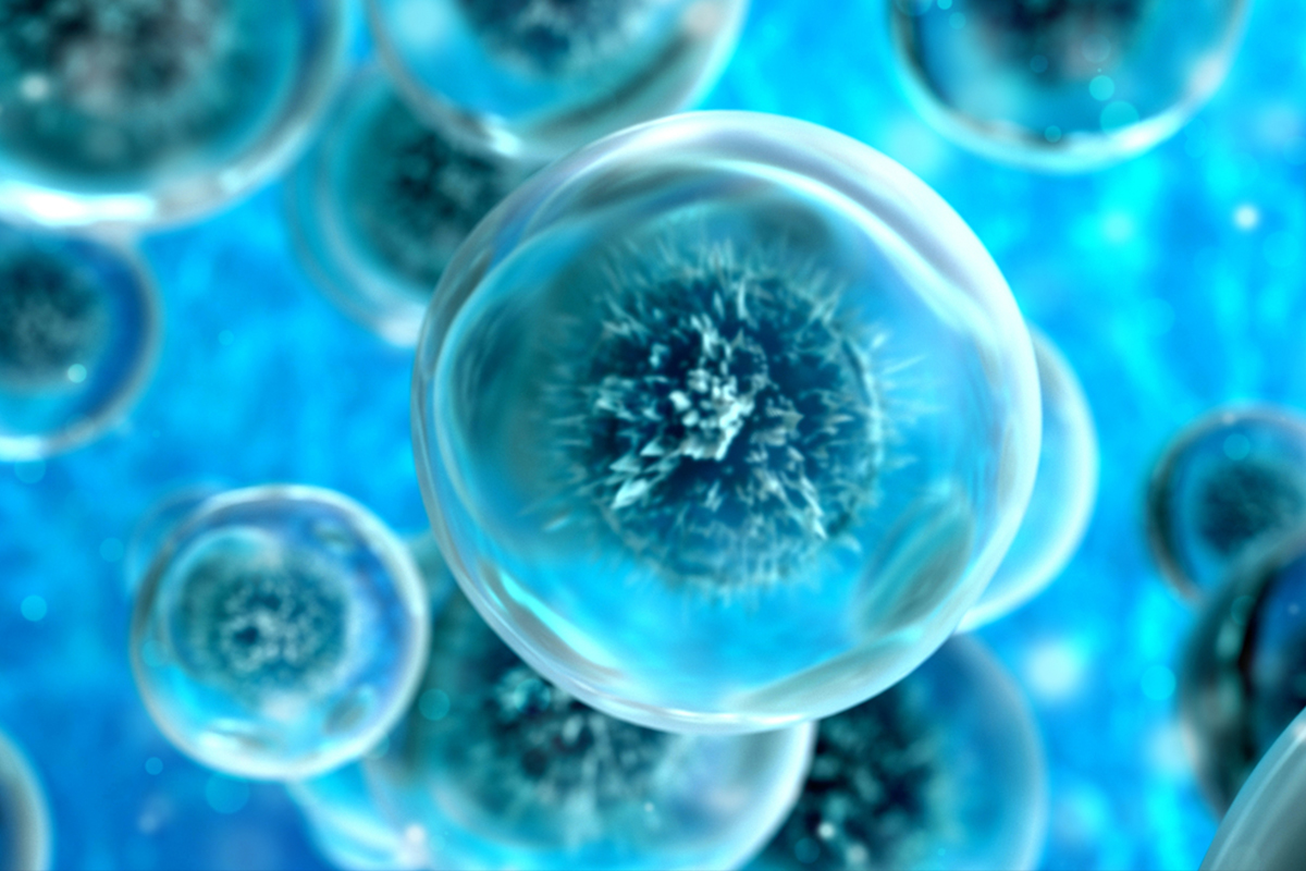 Cell abstract concept. Under microscope. 3d render illustration