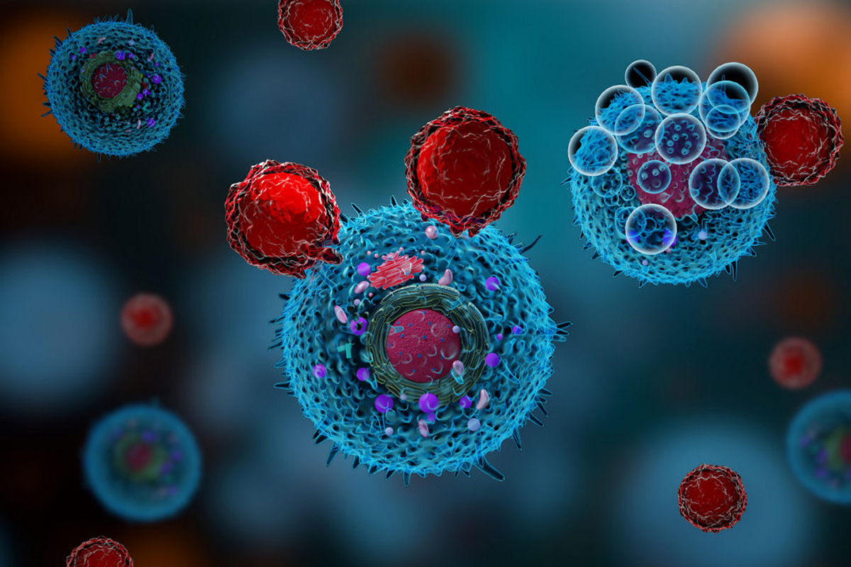 3d render of T cells attacking cancer cells