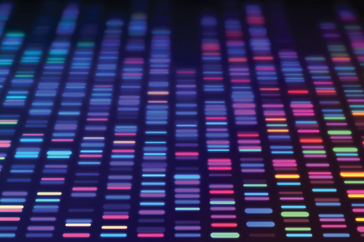 Colorful lines of light