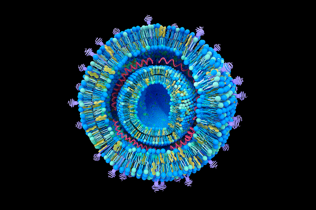Cationic lipoplexe structure. Cationic lipoplexes are one type of Lipid Nanoparticles (LNPs) used for gene delivery. Nucleic acids intercalated between the lipid bilayers. 3d illustration