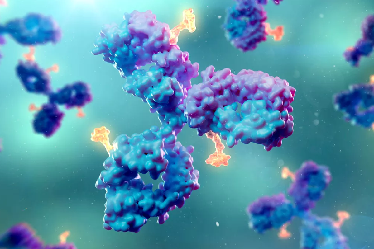 Imagen microscópica de ADC