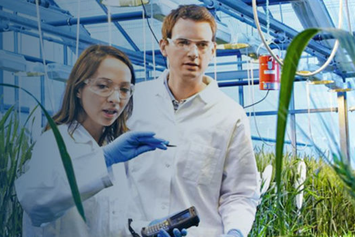 Two scientst observing a plant in a greenhouse